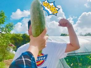 吃瓜网红 最新,揭秘网络红人的幕后故事 第2张 吃瓜网红 最新,揭秘网络红人的幕后故事 第2张